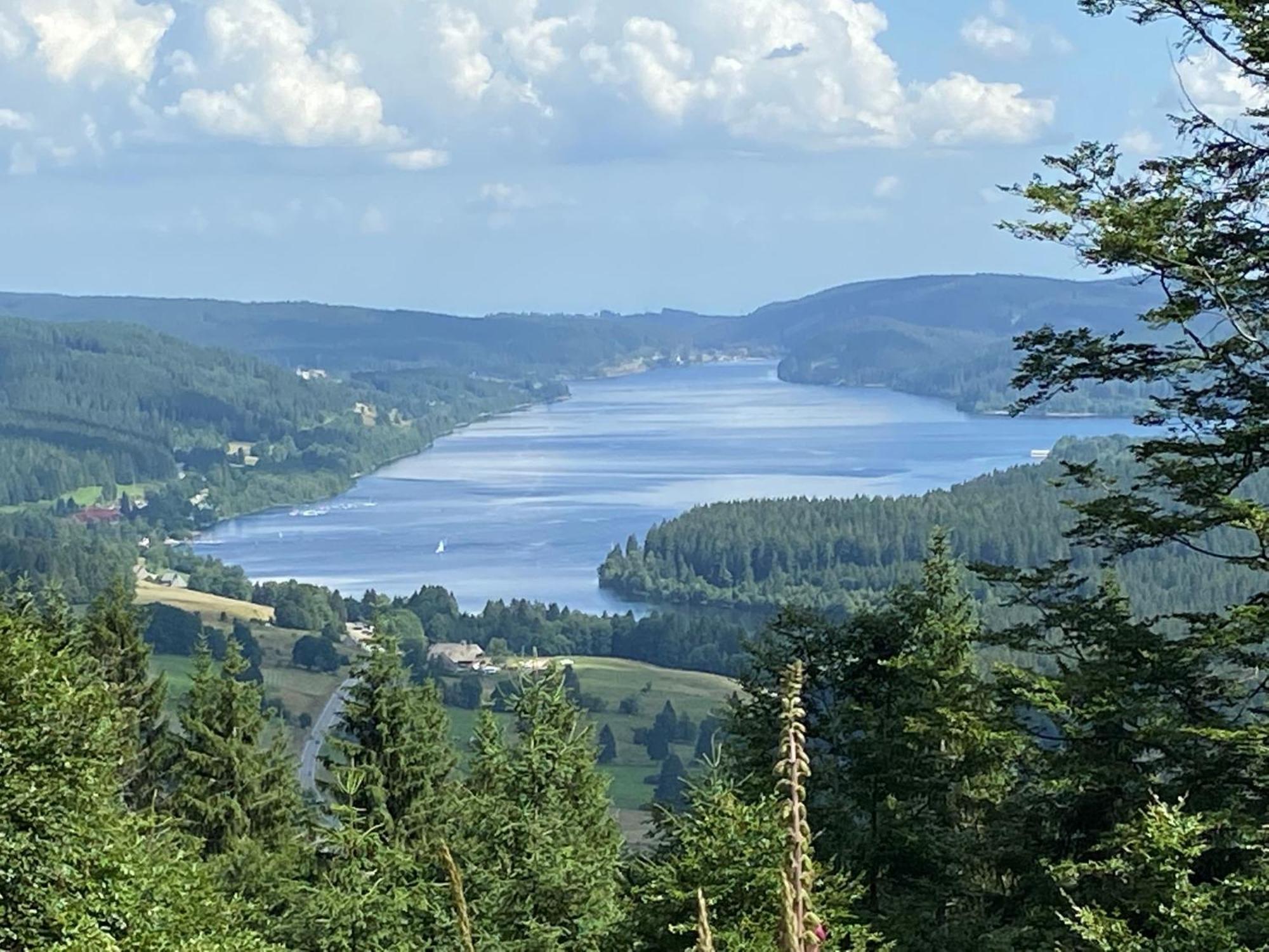 Hotel Zartenbach Hinterzarten Eksteriør bilde